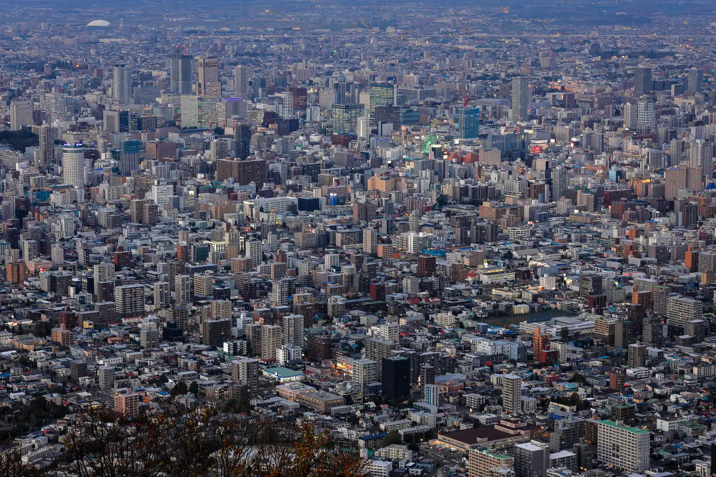 藻岩山から見た札幌市の街並み